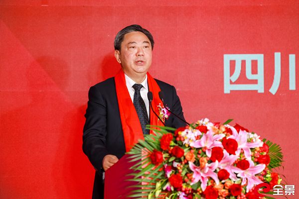 省自然资源厅党组成员、副厅长丁湘致辞_副本.jpg